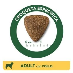 Affinity Libra Adult Con Pollo Pienso Para Perros 8 Affinity Libra Adult Con Pollo Pienso Para Perros -Trixie Ventas kibble libra dog adult chicken es 5