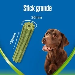 PURINA Dentalife Active Fresh Snacks Dentales Para Perros Grandes 16 PURINA Dentalife Active Fresh Snacks Dentales Para Perros Grandes -Trixie Ventas l 1 6