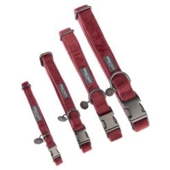 Collar Nomad Tales Blush Vino Para Perros 30 Collar Nomad Tales Blush Vino Para Perros -Trixie Ventas nomad tales blush halsbaender fg 1317 0