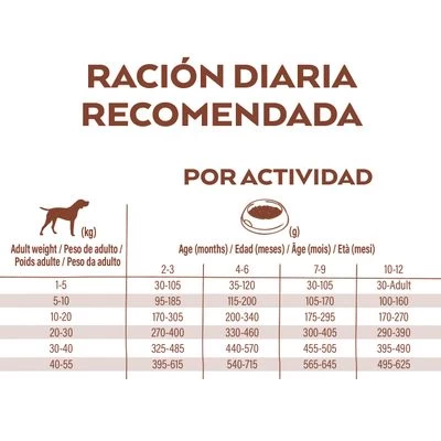 Nature's Variety Selected Junior Pollo Campero 6 Nature's Variety Selected Junior Pollo Campero - Imagen 6