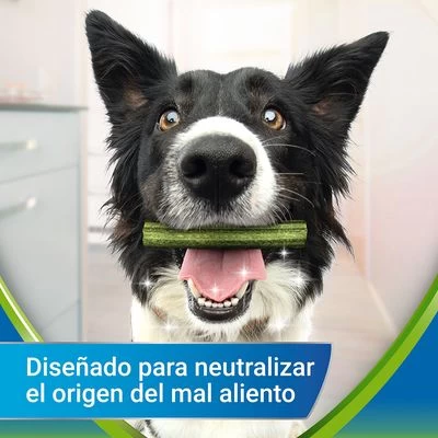 PURINA Dentalife Active Fresh Snacks Dentales Para Perros Grandes 2 PURINA Dentalife Active Fresh Snacks Dentales Para Perros Grandes - Imagen 2