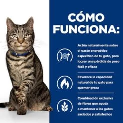 Hill's Metabolic Prescription Diet Control De Peso Sobres Para Gatos -Trixie Ventas pd metabolic cat bk27701 bk25986m bk28138 bk23678m how works es 9
