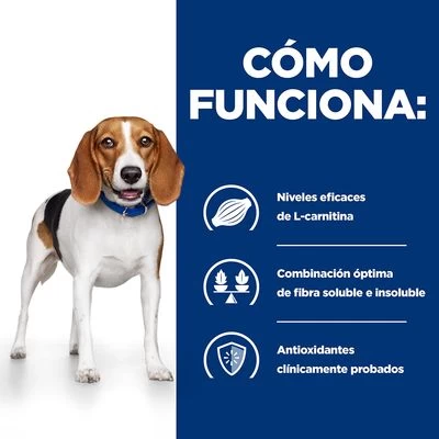 Hill's R/d Prescription Diet Weight Reduction Pienso Para Perros 6 Hill's R/d Prescription Diet Weight Reduction Pienso Para Perros - Imagen 6