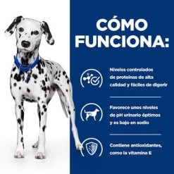 Hill's U/d Prescription Diet Comida Húmeda Para Perros 14 Hill's U/d Prescription Diet Comida Húmeda Para Perros -Trixie Ventas pd ud dog bk24705m bk31642 how works es 2