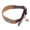 Collar Nomad Tales Bloom Caramelo Para Perros