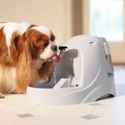 Fuente De Agua Para Mascotas Drinkwell Platinum De PetSafe -Trixie Ventas pla radiosystems drinkwellplatinumtrinkbrunnen 5liter dog 1