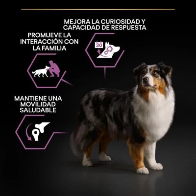 PURINA PRO PLAN Medium & Large Adult 7+ Age Defence - Imagen 5