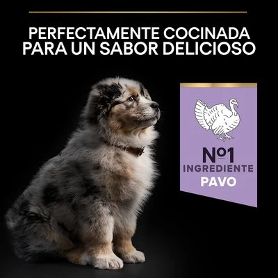 PURINA PRO PLAN All Sizes Puppy Sensitive Digestion Sin Cereales Con Pavo 6 PURINA PRO PLAN All Sizes Puppy Sensitive Digestion Sin Cereales Con Pavo - Imagen 6
