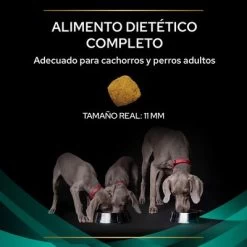 Purina EN Gastrointestinal Veterinary Diets Pienso Para Perros 15 Purina EN Gastrointestinal Veterinary Diets Pienso Para Perros -Trixie Ventas puppvdddppven22ksizles 220629 1 1656985195811 3
