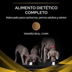 Purina JM Joint Mobility Pienso Para Perros -Trixie Ventas puppvdddppvjm22ksizles 220629 1 1656985195811 6