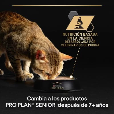 PURINA PRO PLAN Cat Adult Maintenance 24 X 85 G En Latas 2 PURINA PRO PLAN Cat Adult Maintenance 24 X 85 G En Latas - Imagen 2