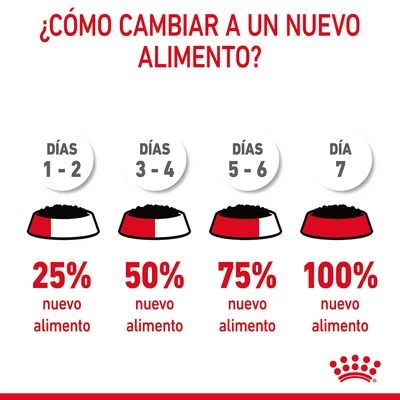 Royal Canin Hairball Care En Salsa 9 Royal Canin Hairball Care En Salsa - Imagen 9