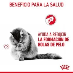 Royal Canin Hairball Care En Salsa 12 Royal Canin Hairball Care En Salsa -Trixie Ventas rc fcn hairballpouchgravy 6 es es 4