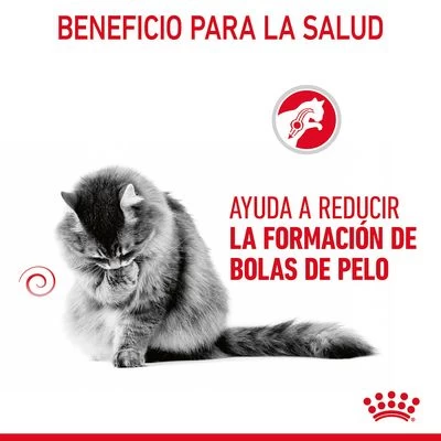 Royal Canin Hairball Care En Salsa 3 Royal Canin Hairball Care En Salsa - Imagen 3