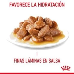 Royal Canin Hairball Care En Salsa 13 Royal Canin Hairball Care En Salsa -Trixie Ventas rc fcn hairballpouchgravy 7 es es 3