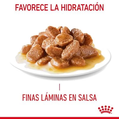 Royal Canin Hairball Care En Salsa 4 Royal Canin Hairball Care En Salsa - Imagen 4