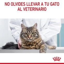 Royal Canin Light Weight Care En Gelatina 19 Royal Canin Light Weight Care En Gelatina -Trixie Ventas rc fcn lightweightpouchjelly 13 es es 7