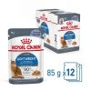 Royal Canin Light Weight Care En Gelatina