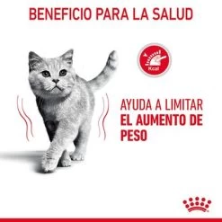 Royal Canin Light Weight Care En Gelatina 12 Royal Canin Light Weight Care En Gelatina -Trixie Ventas rc fcn lightweightpouchjelly 6 es es 8