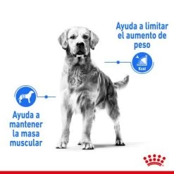 Royal Canin Medium Light Weight Care 10 Royal Canin Medium Light Weight Care -Trixie Ventas rc spt dry lightweightmed cv 1 es es 1 4