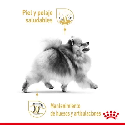 Royal Canin Breed Pomerania Adult 3 Royal Canin Breed Pomerania Adult - Imagen 3