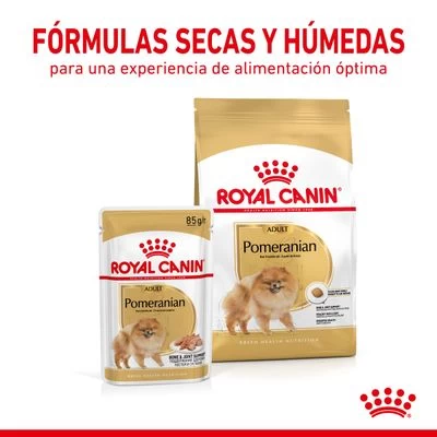Royal Canin Breed Pomerania Adult 5 Royal Canin Breed Pomerania Adult - Imagen 5