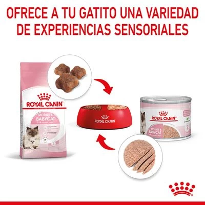 Royal Canin Mother & Babycat Ultra Soft Mousse 7 Royal Canin Mother & Babycat Ultra Soft Mousse - Imagen 7