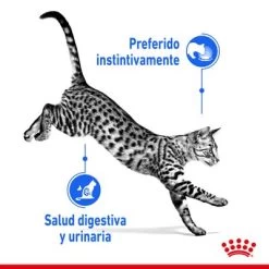 Royal Canin Indoor Sterilised En Gelatina 10 Royal Canin Indoor Sterilised En Gelatina -Trixie Ventas rc spt wet indsterjelly cv 1 es es 2