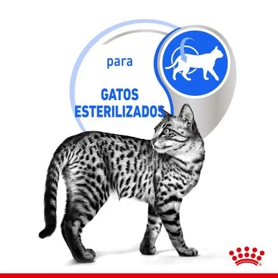 Royal Canin Indoor Sterilised En Gelatina 5 Royal Canin Indoor Sterilised En Gelatina - Imagen 5