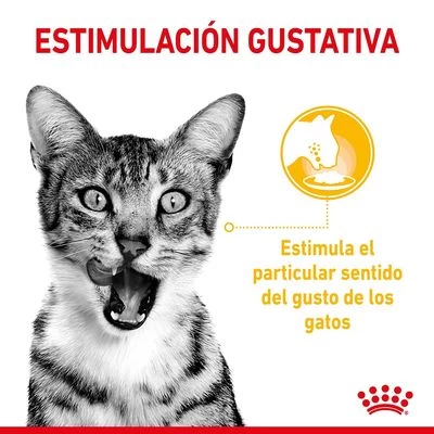 Royal Canin Sensory Taste En Salsa 3 Royal Canin Sensory Taste En Salsa - Imagen 3