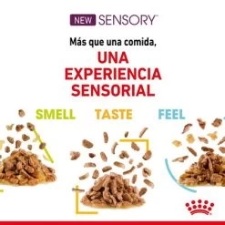 Royal Canin Sensory Taste En Salsa 12 Royal Canin Sensory Taste En Salsa -Trixie Ventas rc spt wet senstastecig cv 2 es es 8