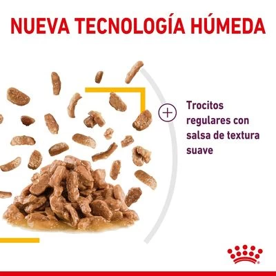 Royal Canin Sensory Taste En Salsa 5 Royal Canin Sensory Taste En Salsa - Imagen 5