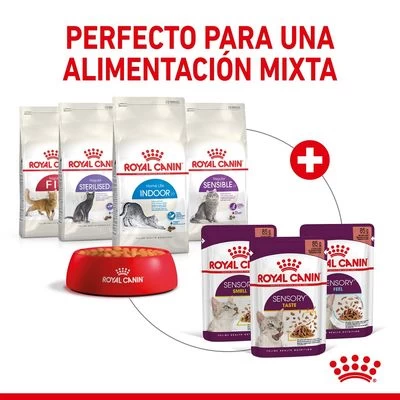 Royal Canin Sensory Taste En Salsa 7 Royal Canin Sensory Taste En Salsa - Imagen 7