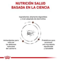 Royal Canin Veterinary Gastro Intestinal Puppy Pienso Para Perros -Trixie Ventas rc vet dry doggastropu cv eretailkit 3 es es 0