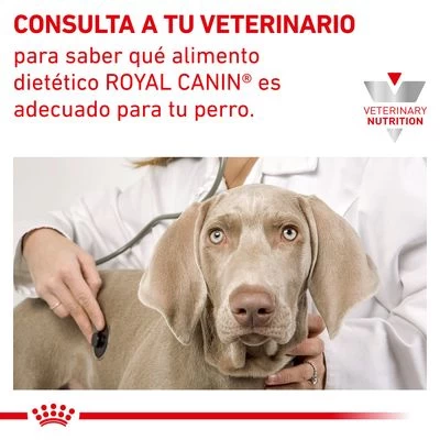 Royal Canin Veterinary Canine Hypoallergenic Puppy Pienso Para Perros 7 Royal Canin Veterinary Canine Hypoallergenic Puppy Pienso Para Perros - Imagen 7