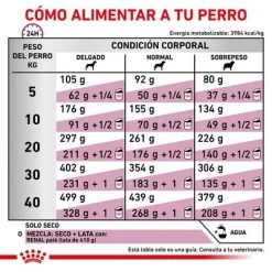 Royal Canin Veterinary Canine Renal Pienso Para Perros 12 Royal Canin Veterinary Canine Renal Pienso Para Perros -Trixie Ventas rc vet dry dogrenal cv eretailkit 6 es es 5