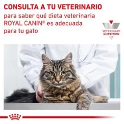 Royal Canin Veterinary Feline Gastro Intestinal Húmeda Para Gatos 15 Royal Canin Veterinary Feline Gastro Intestinal Húmeda Para Gatos -Trixie Ventas rc vet wet catgastromig cv eretailkit 7 es es 4