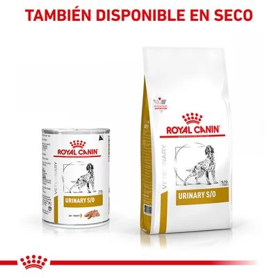 Royal Canin Veterinary Canine Urinary S/O Mousse 5 Royal Canin Veterinary Canine Urinary S/O Mousse - Imagen 5