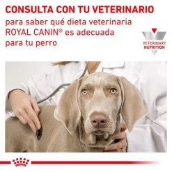 Royal Canin Veterinary Canine Urinary S/O Mousse 12 Royal Canin Veterinary Canine Urinary S/O Mousse -Trixie Ventas rc vet wet dogurinarysoloaf400g cv eretailkit 6 es es 7