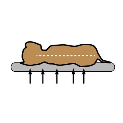 Cojín Ortopédico Pawz & Pepper Denver 5 Cojín Ortopédico Pawz & Pepper Denver - Imagen 5