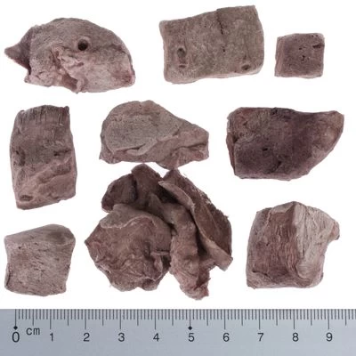 Pack De Prueba Mixto: Wolf Of Wilderness Snacks Liofilizados Premium 11 Pack De Prueba Mixto: Wolf Of Wilderness Snacks Liofilizados Premium - Imagen 11