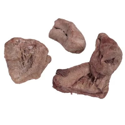 Pack Ahorro 4 X Wolf Of Wilderness RAW Snacks Liofilizados Premium 16 Pack Ahorro 4 X Wolf Of Wilderness RAW Snacks Liofilizados Premium - Imagen 16