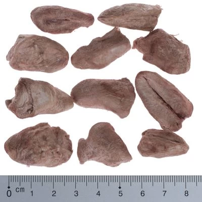 Pack Ahorro 4 X Wolf Of Wilderness RAW Snacks Liofilizados Premium 17 Pack Ahorro 4 X Wolf Of Wilderness RAW Snacks Liofilizados Premium - Imagen 17