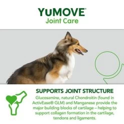 YuMOVE Cuidado Articular Para Perros Adultos 17 YuMOVE Cuidado Articular Para Perros Adultos -Trixie Ventas yumove joint care adult 300 7 5