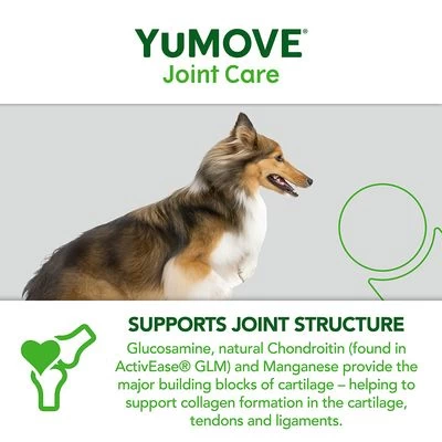 YuMOVE Cuidado Articular Para Perros Adultos 8 YuMOVE Cuidado Articular Para Perros Adultos - Imagen 8