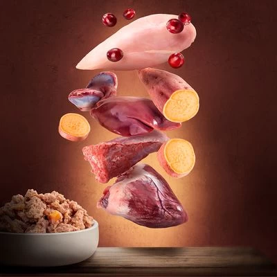 Purizon Adult 12 X 400 G Comida Húmeda Sin Cereales Para Perros - Imagen 3