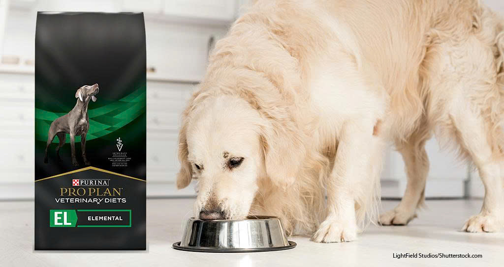 Trixie Ventas -Trixie Ventas z6689107974698 7f88133bbf2588e67aabd3897d7d118f